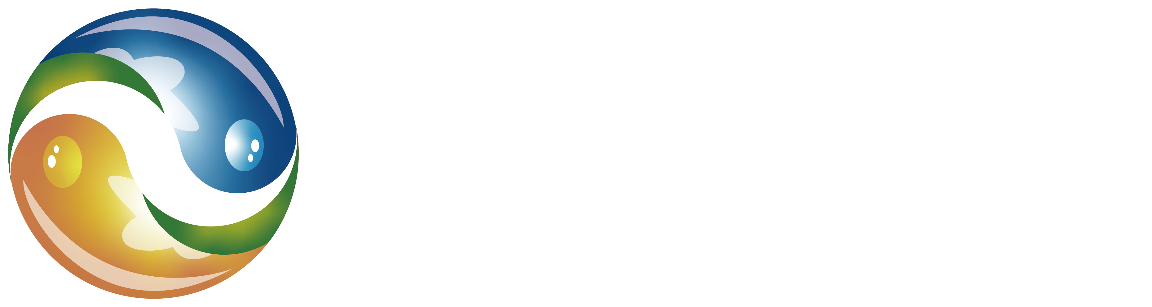 数字众智